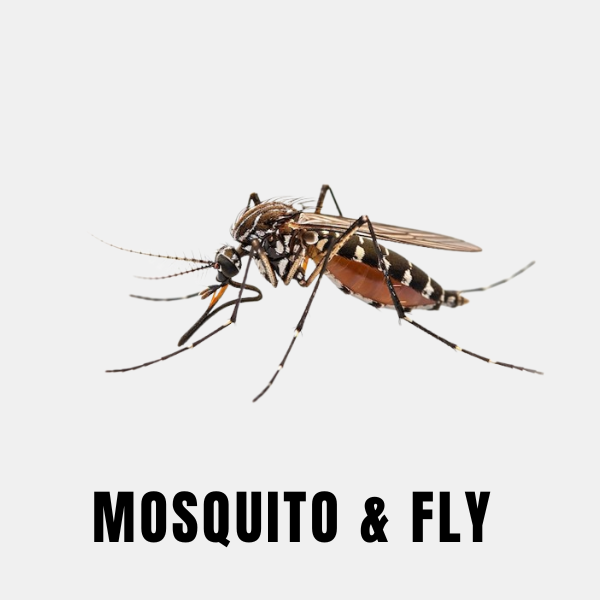 Outdoor mosquito control villa