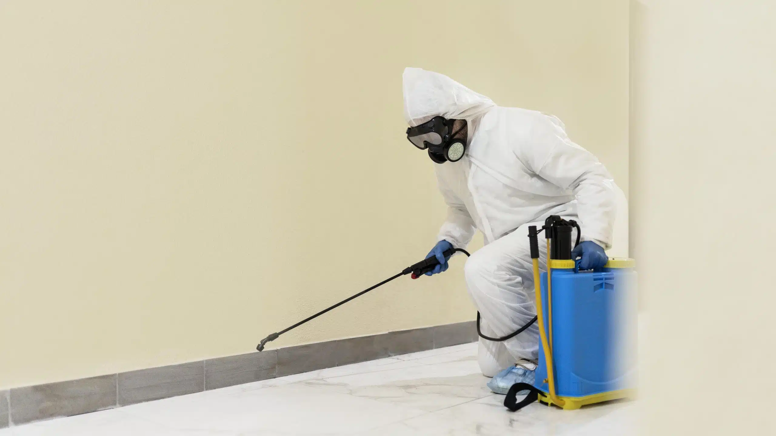 Commercial pest control in Dubai